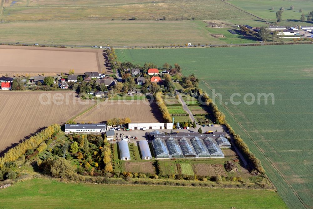 Aerial photograph Kemnitz - View of the market garden in Kemnitz in the state Mecklenburg-Vorpommern. It is located in the district Kemnitz-Meierei