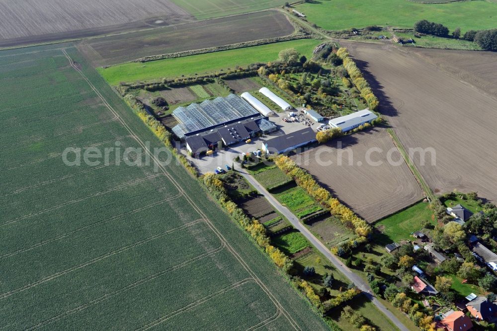 Kemnitz from the bird's eye view: View of the market garden in Kemnitz in the state Mecklenburg-Vorpommern. It is located in the district Kemnitz-Meierei