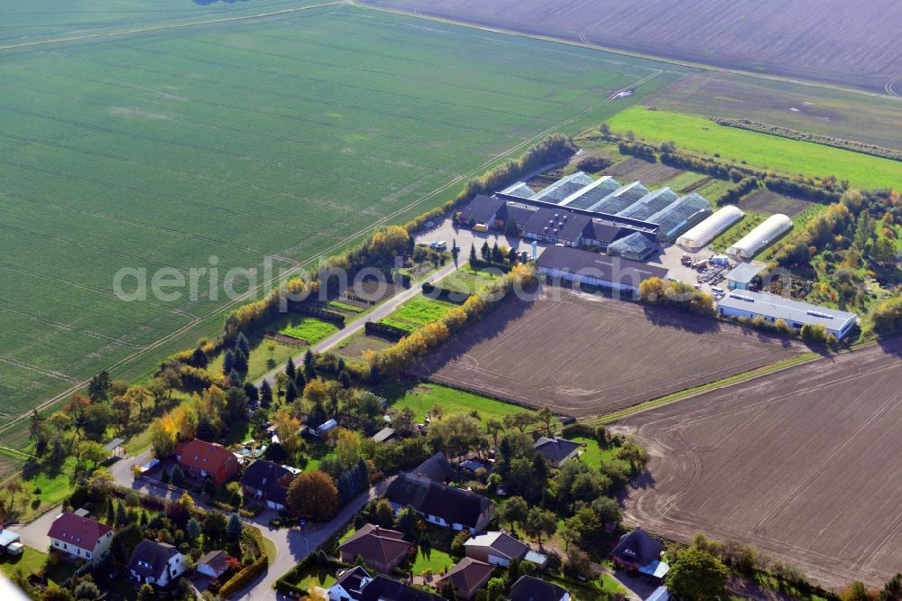 Aerial image Kemnitz - View of the market garden in Kemnitz in the state Mecklenburg-Vorpommern. It is located in the district Kemnitz-Meierei