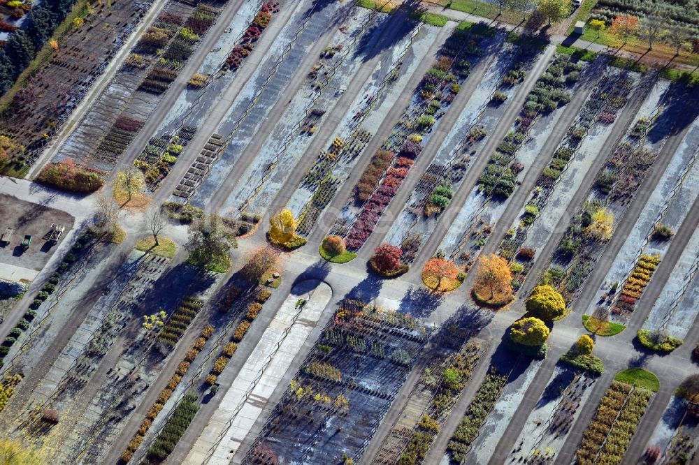 Aerial image Berlin - View onto the autumnal area of the Spaethsche arboretum at the Spaethstrasse in the district Baumschulenweg of Berlin