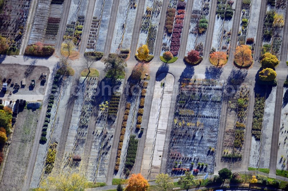 Berlin from above - View onto the autumnal area of the Spaethsche arboretum at the Spaethstrasse in the district Baumschulenweg of Berlin