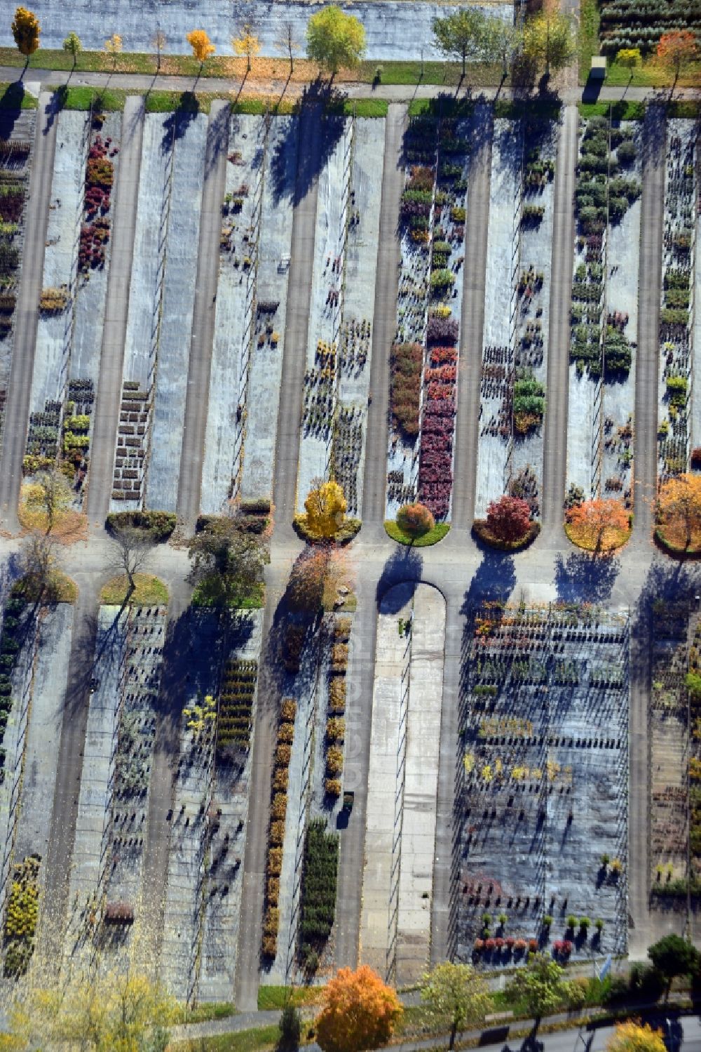 Aerial image Berlin - View onto the autumnal area of the Spaethsche arboretum at the Spaethstrasse in the district Baumschulenweg of Berlin