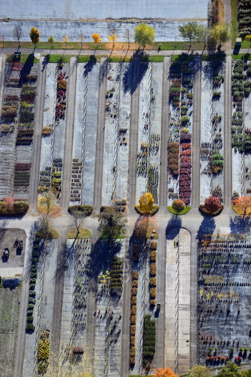 Aerial photograph Berlin - View onto the autumnal area of the Spaethsche arboretum at the Spaethstrasse in the district Baumschulenweg of Berlin