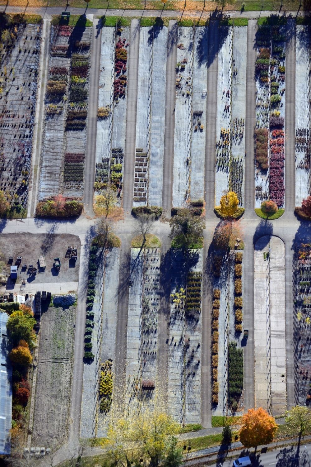 Berlin from above - View onto the autumnal area of the Spaethsche arboretum at the Spaethstrasse in the district Baumschulenweg of Berlin