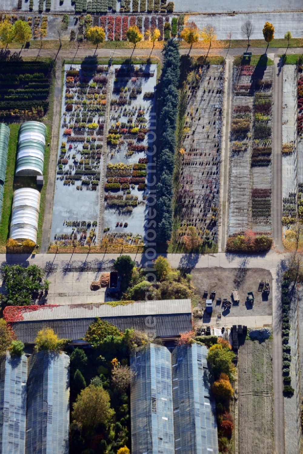 Aerial image Berlin - View onto the autumnal area of the Spaethsche arboretum at the Spaethstrasse in the district Baumschulenweg of Berlin