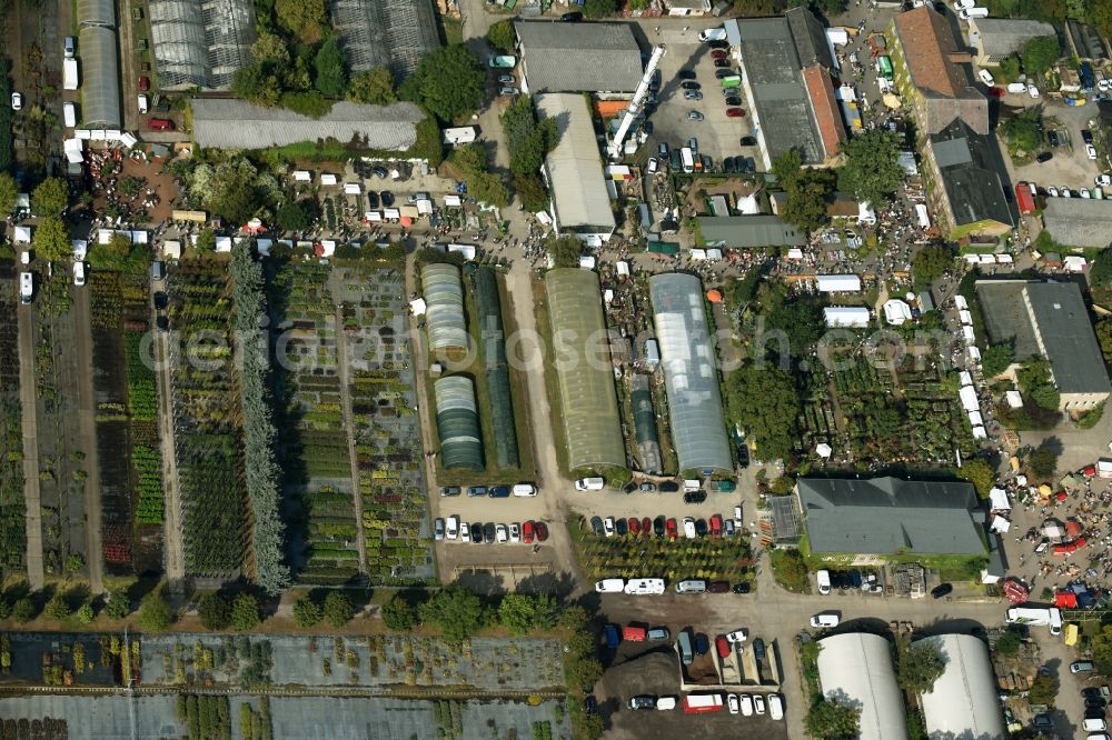 Berlin from the bird's eye view: View onto the autumnal area of the Spaethsche arboretum at the Spaethstrasse in the district Baumschulenweg of Berlin