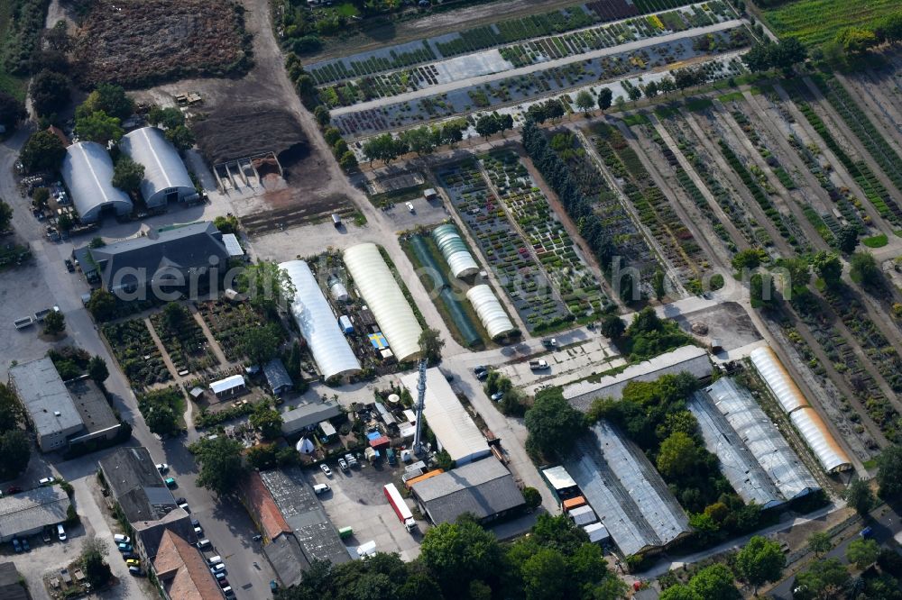 Aerial image Berlin - Area of the Spaethsche arboretum at the Spaethstrasse in the district Baumschulenweg of Berlin