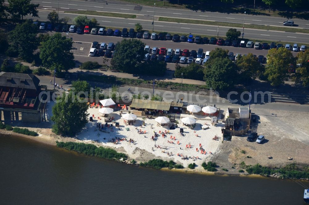 Aerial image Magdeburg - Site of the beach on the banks of the Elbe in Magdeburg Magdeburg in Saxony-Anhalt