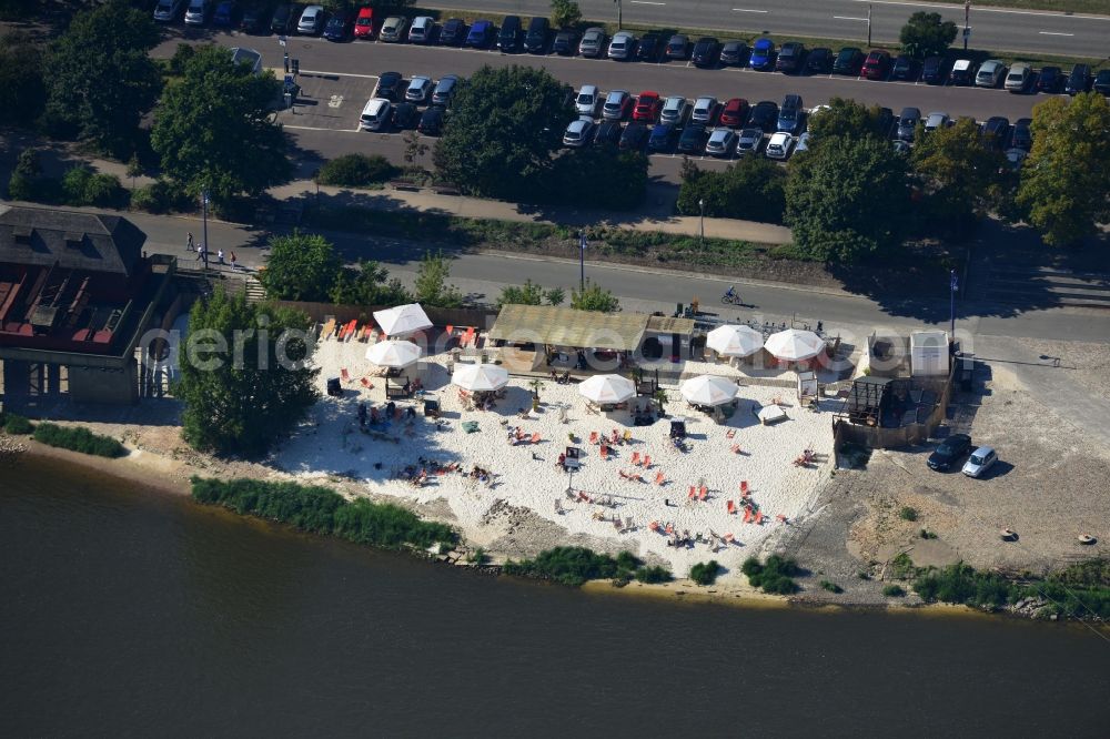 Aerial photograph Magdeburg - Site of the beach on the banks of the Elbe in Magdeburg Magdeburg in Saxony-Anhalt