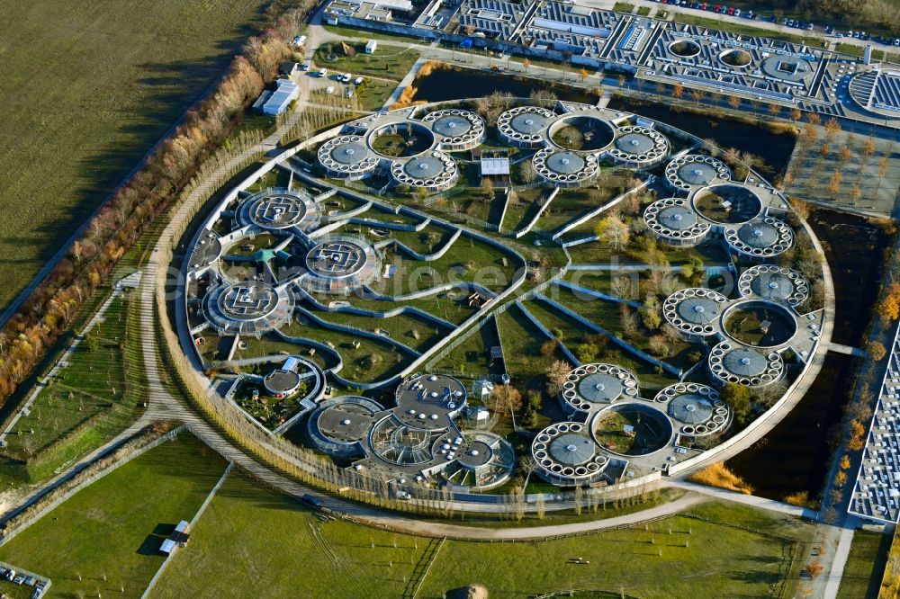 Aerial image Berlin - Site of the animal shelter, also known as the city of animals, destrict Hohenschoenhausen in Berlin in Germany