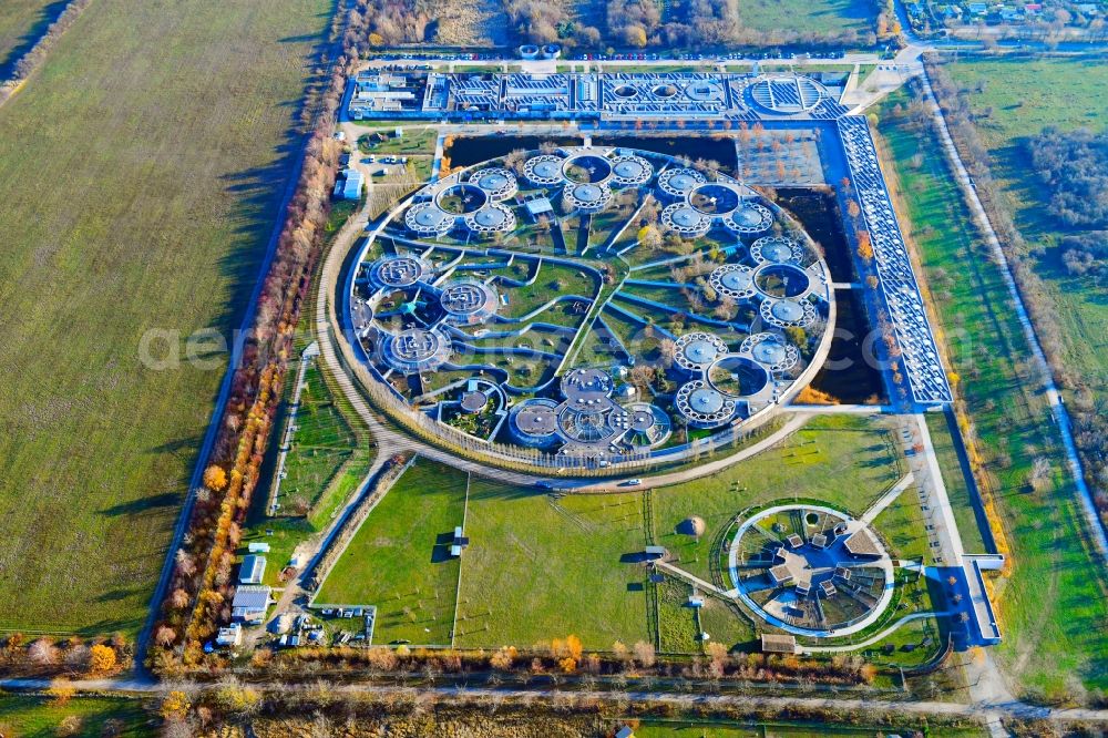 Berlin from above - Site of the animal shelter, also known as the city of animals, destrict Hohenschoenhausen in Berlin in Germany