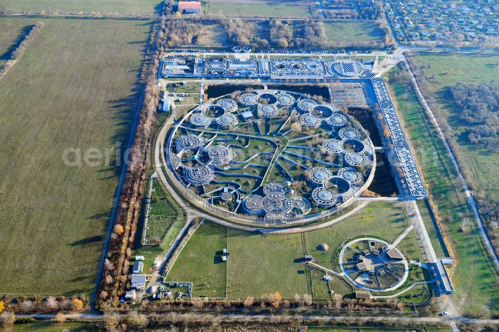 Berlin from above - Site of the animal shelter, also known as the city of animals, destrict Hohenschoenhausen in Berlin in Germany