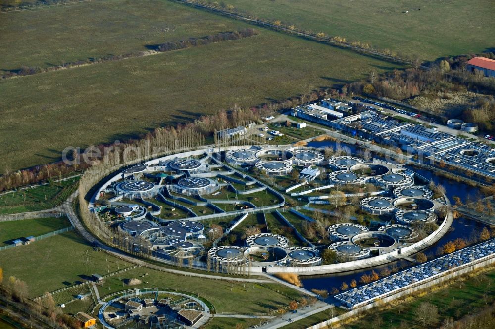 Berlin from the bird's eye view: Site of the animal shelter, also known as the city of animals, destrict Hohenschoenhausen in Berlin in Germany