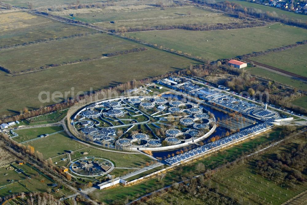 Aerial image Berlin - Site of the animal shelter, also known as the city of animals, destrict Hohenschoenhausen in Berlin in Germany