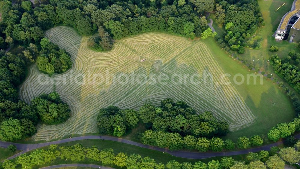 Bonn from the bird's eye view: Mown grass area in the Rheinaue in Bonn in the state North Rhine-Westphalia, Germany