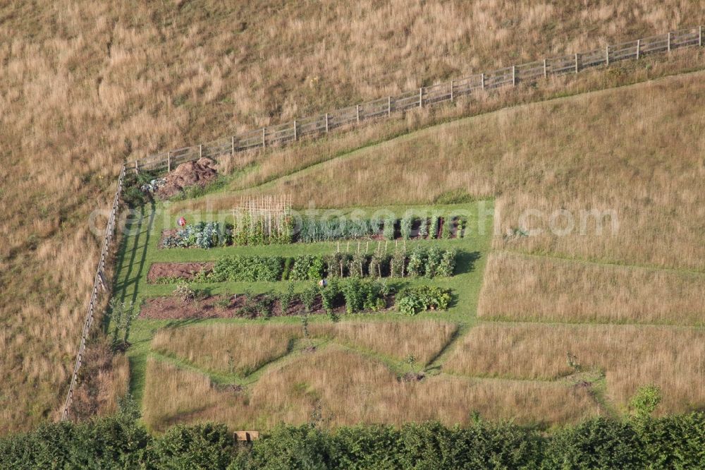 Aerial image Two Mile Oak - Vegetable growing ranks in Two Mile Oak in England, United Kingdom