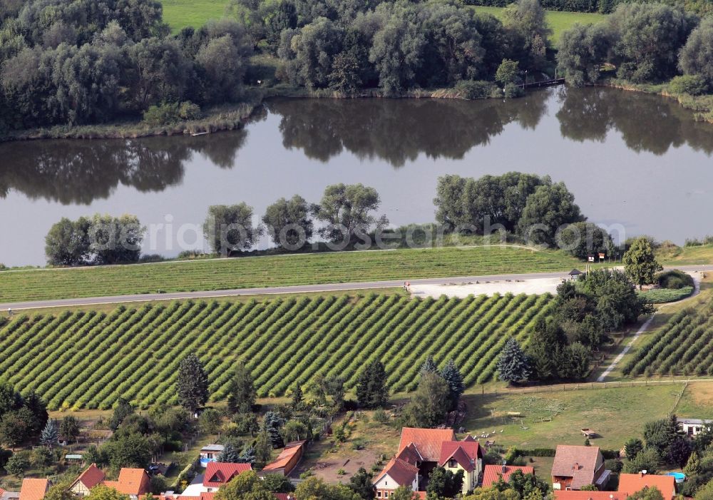 Niederdorla from the bird's eye view: Geographical center of Germany at Niederdorla on the banks of the river in Thuringia Sitter