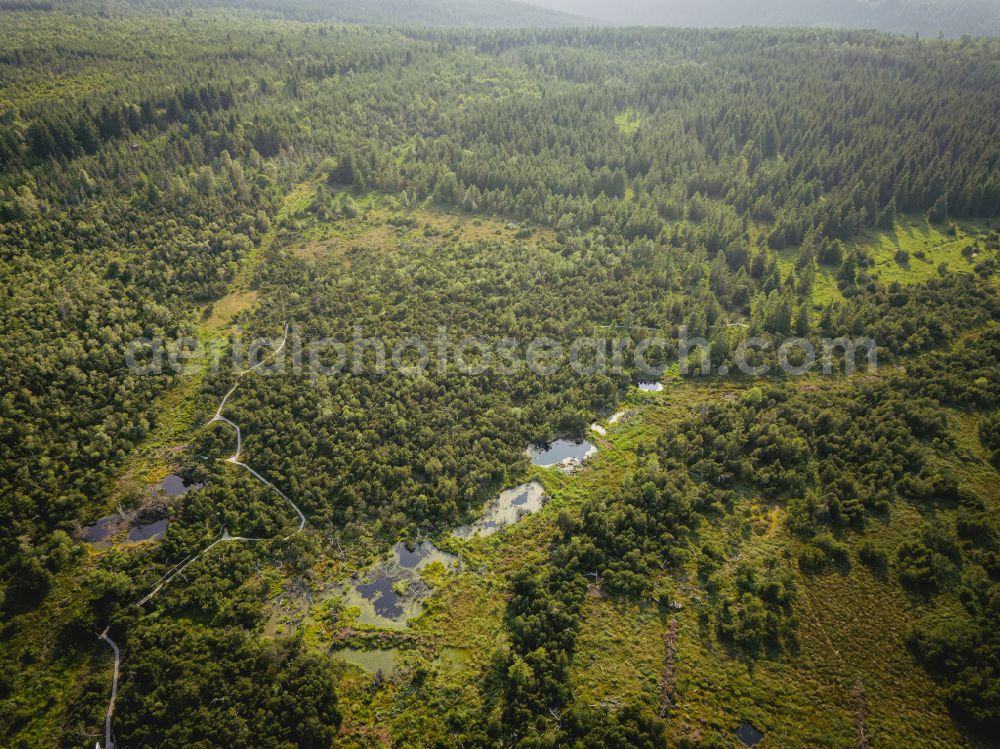 Altenberg from the bird's eye view: The Georgenfelder Hochmoor is a raised bog in the Ore Mountains not far from Zinnwald-Georgenfeld in Altenberg in the state of Saxony, Germany