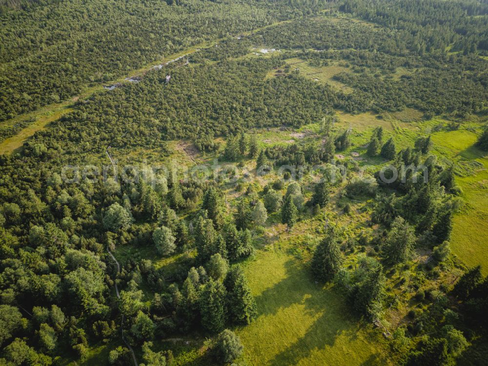 Aerial photograph Altenberg - The Georgenfelder Hochmoor is a raised bog in the Ore Mountains not far from Zinnwald-Georgenfeld in Altenberg in the state of Saxony, Germany