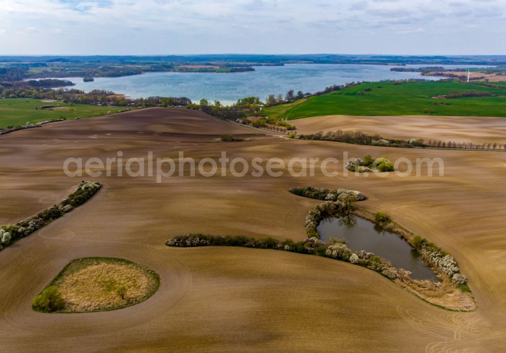 Aerial image Parsteinsee - Young green-colored grain field structures and rows in a field in Parsteinsee in the state Brandenburg, Germany