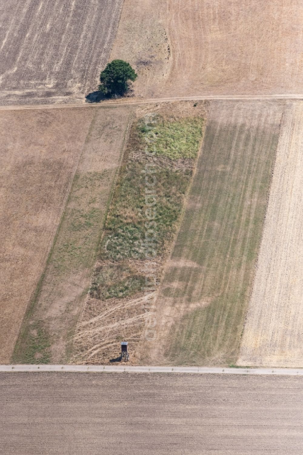 Buseck from the bird's eye view: Plowed field in Buseck in the state Hesse, Germany