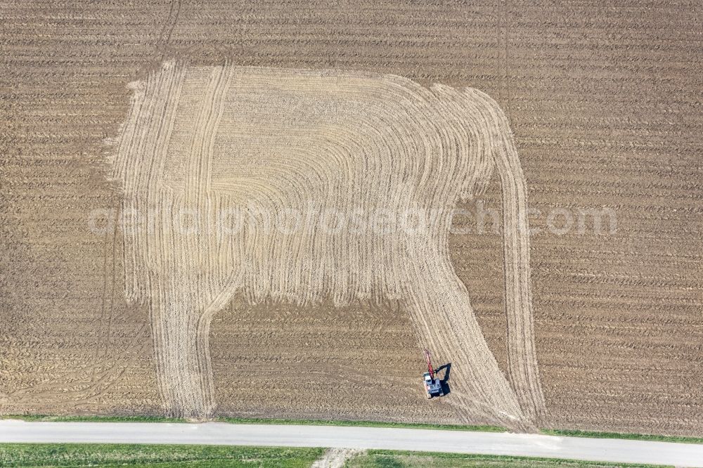 Aerial photograph Heldenstein - Plowed field in the form of elephants in Heldenstein in Bavaria