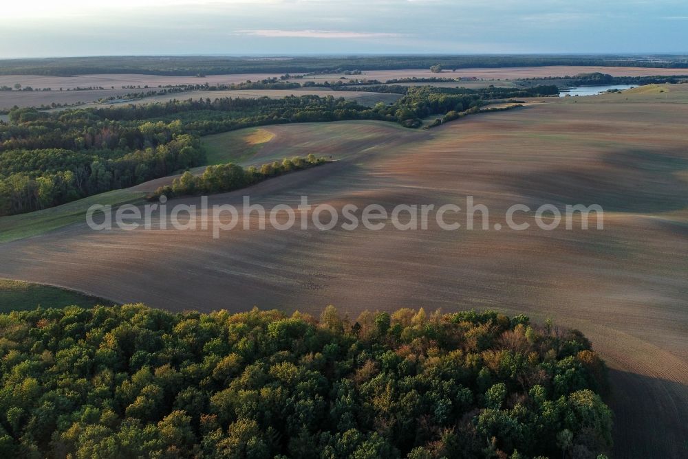 Aerial image Lietzen - Plowed field in Lietzen in the state Brandenburg, Germany