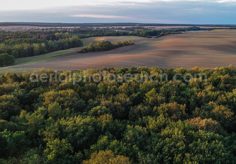 Lietzen from above - Plowed field in Lietzen in the state Brandenburg, Germany