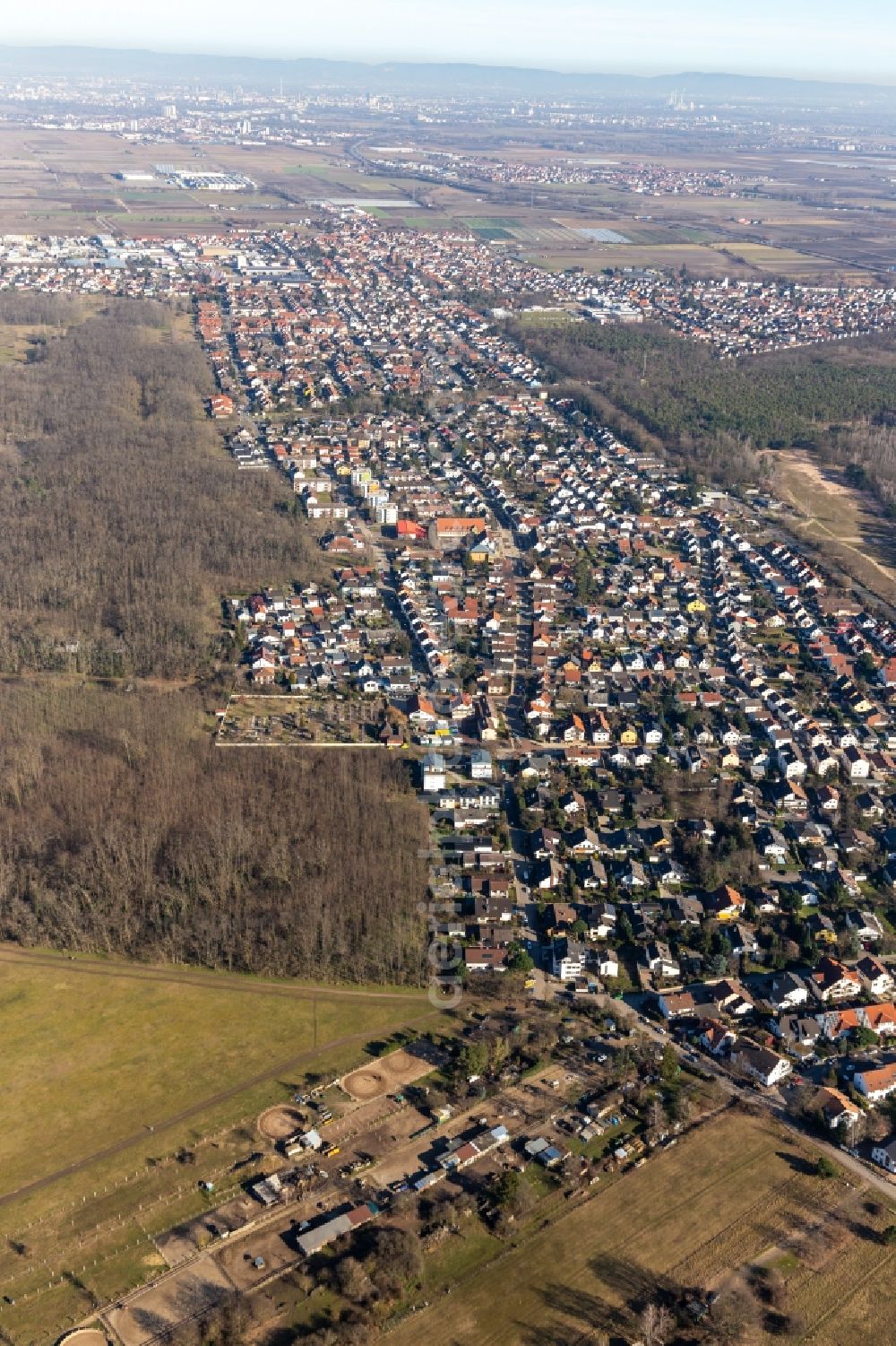 Maxdorf from above - City area with outside districts and inner city area in Maxdorf in the state Rhineland-Palatinate, Germany