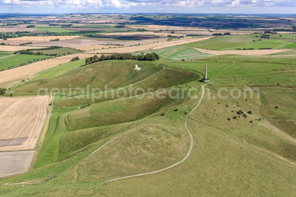 Aerial image Cherhill - Tourist attraction of the historic monument Cherhill White Horse and Obelisk Lansdowne Monument in Cherhill in United Kingdom