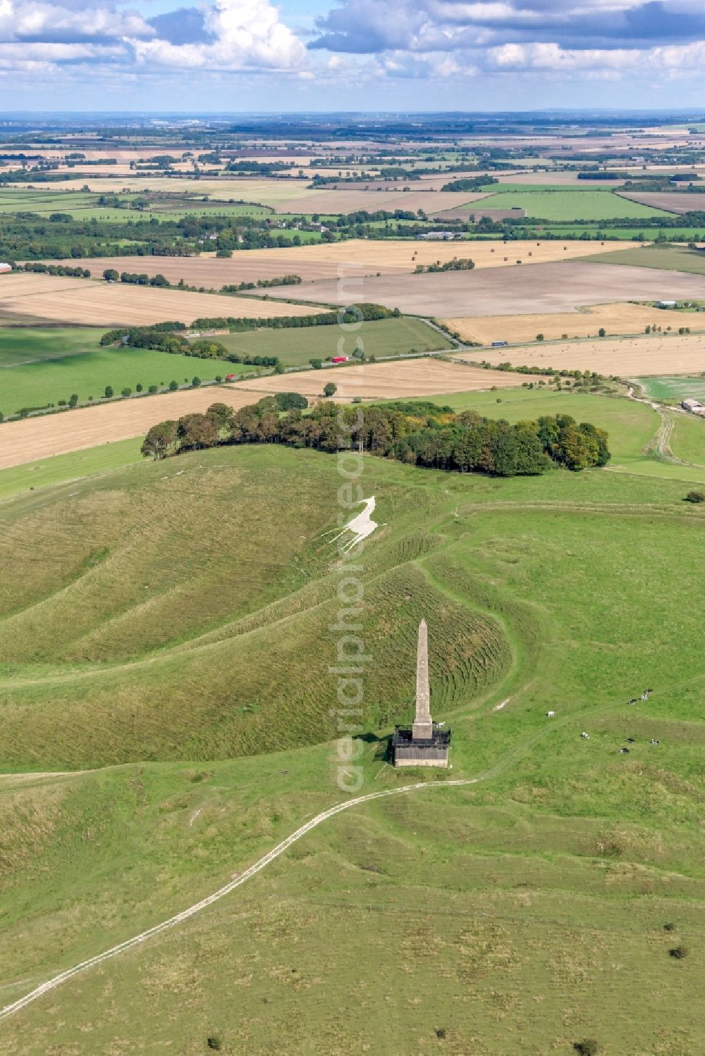 Cherhill from the bird's eye view: Tourist attraction of the historic monument Cherhill White Horse and Obelisk Lansdowne Monument in Cherhill in United Kingdom