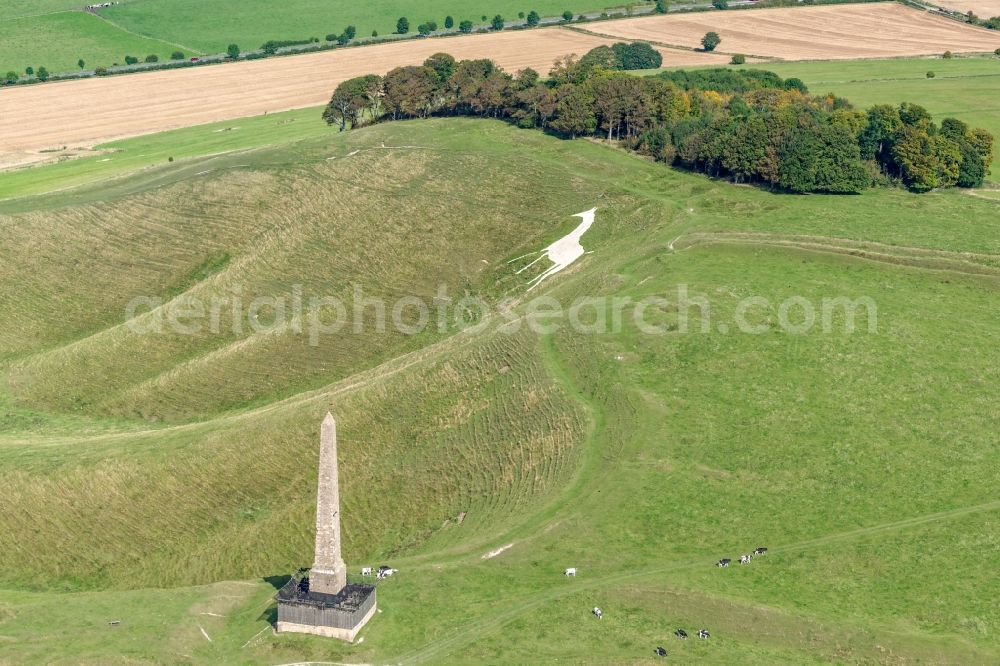 Aerial image Cherhill - Tourist attraction of the historic monument Cherhill White Horse and Obelisk Lansdowne Monument in Cherhill in United Kingdom