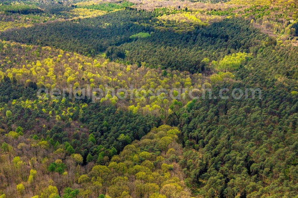 Aerial photograph Kleve - Sight and tourist attraction of the historical monument and war cemetery in the forest area Reichswald Forest War Cemetery on Grunewaldstrasse in Kleve in the federal state of North Rhine-Westphalia, Germany