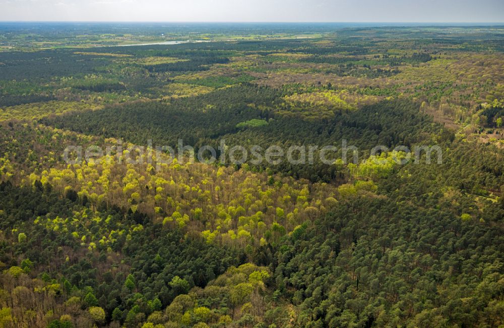 Kleve from above - Sight and tourist attraction of the historical monument and war cemetery in the forest area Reichswald Forest War Cemetery on Grunewaldstrasse in Kleve in the federal state of North Rhine-Westphalia, Germany