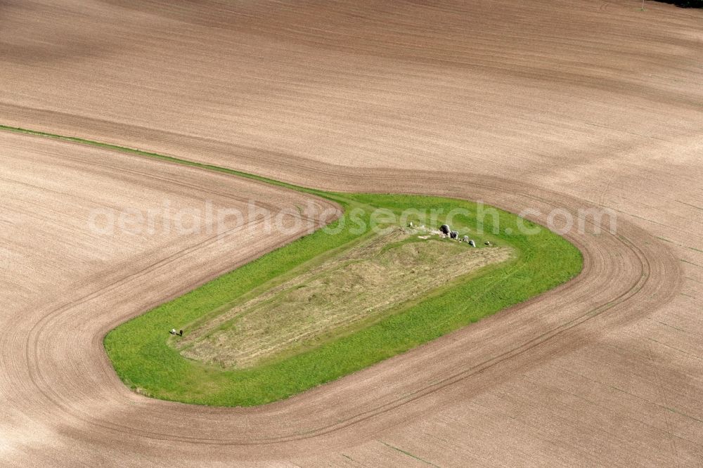 Aerial photograph West Kennett - Tourist attraction of the historic monument stone circle West Kennet Long Barrow Marlborough in West Kennett in United Kingdom