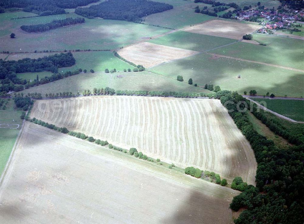 Calau / Brandenburg from the bird's eye view: Getreideernte bei Calau in Brandenburg