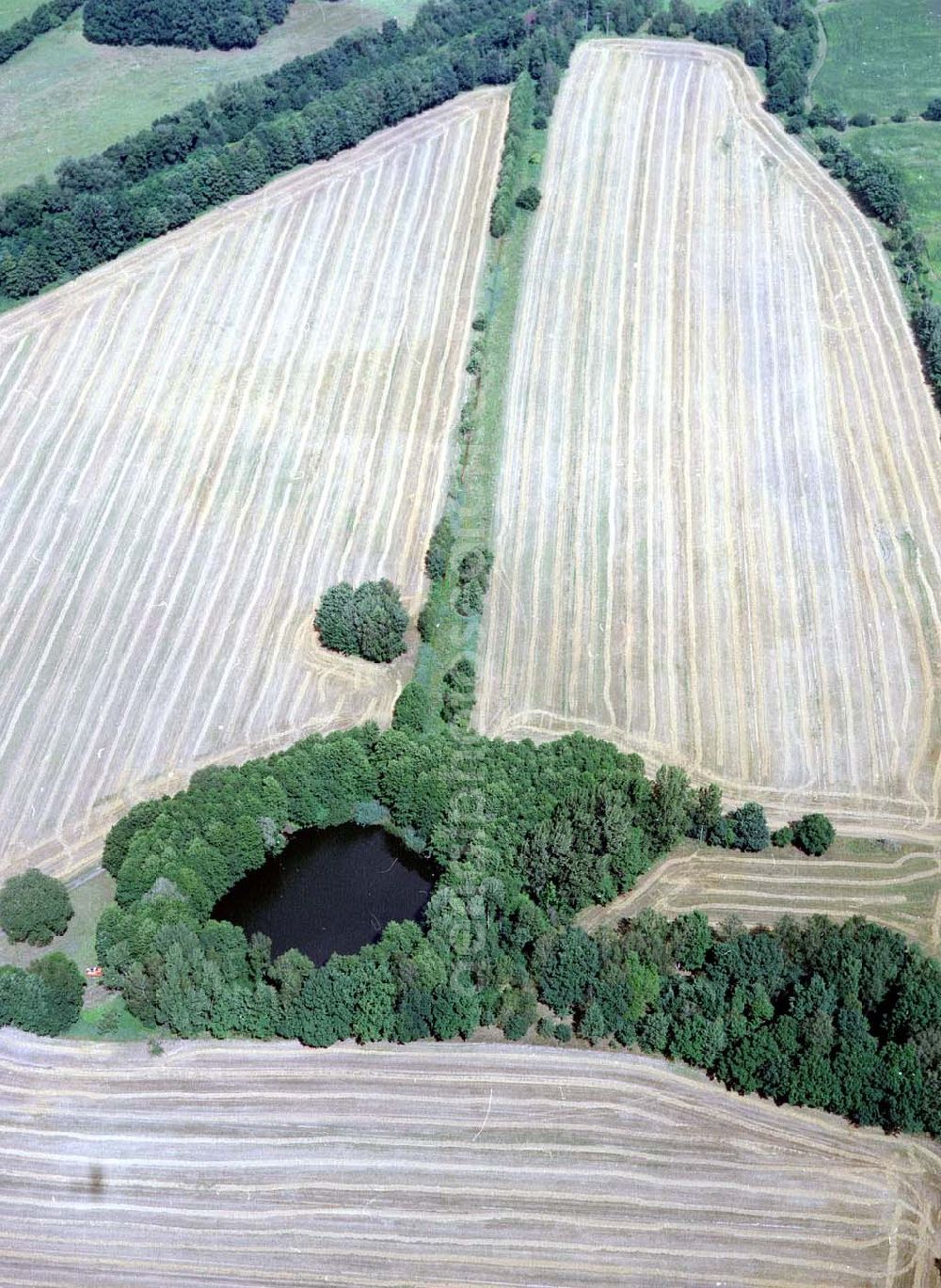 Aerial image Calau / Brandenburg - Getreideernte bei Calau in Brandenburg