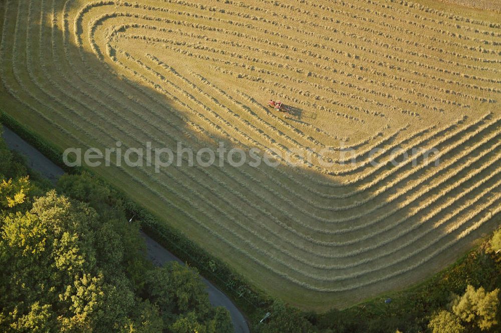 Bochum from the bird's eye view: Blick auf ein Feld / Landschaft, ein Traktor bei der Ernte / Getreideernte.