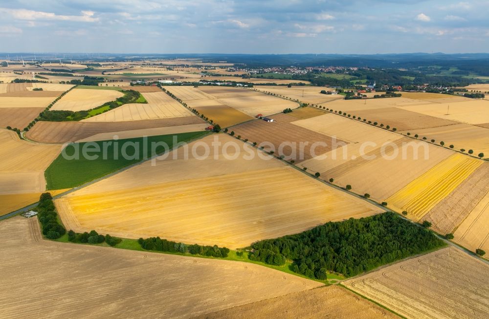 Rüthen from the bird's eye view: Field structures near Altenruethen in the Sauerland region in the state of North Rhine-Westphalia. The agricultural fields are located in the Northwest of Ruethen in the county district of Soest