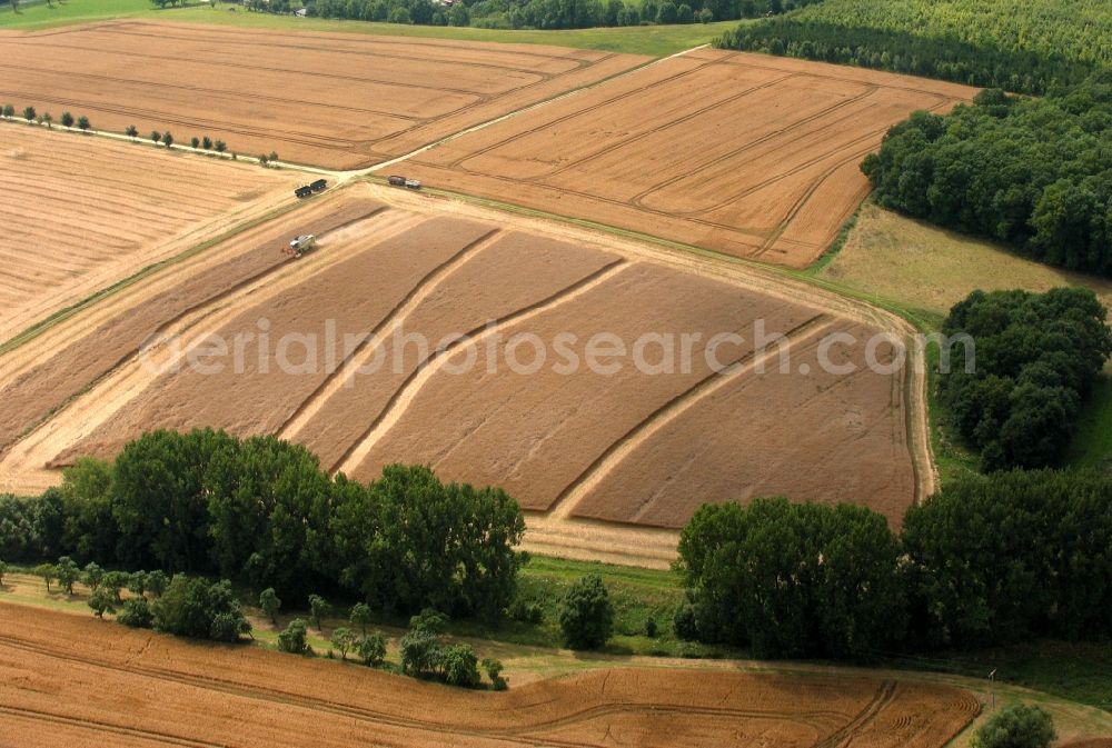 Elleben from above - Field structures in Elleben in the state Thuringia