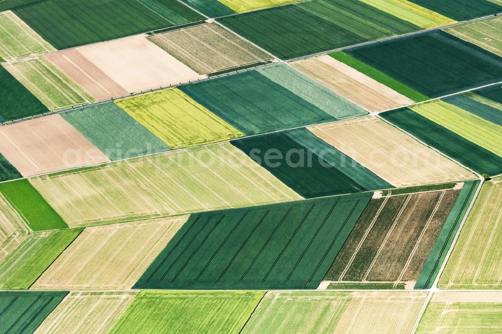 Erftstadt from the bird's eye view: Field structures in Erftstadt in the state North Rhine-Westphalia, Germany