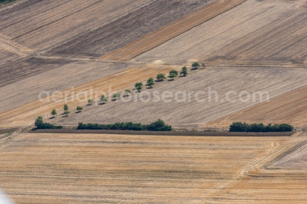 Fernwald from above - Field structures in Fernwald in the state Hesse, Germany