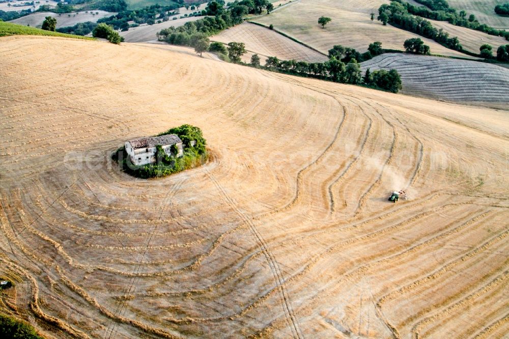 Aerial photograph Fossombrone - Field structures in Fossombrone in Marche, Italy