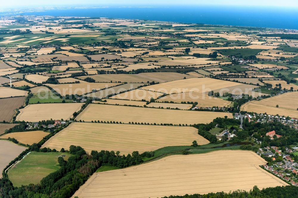 Aerial photograph Grube - Field structures in the district Thomsdorf in Grube in the state Schleswig-Holstein, Germany