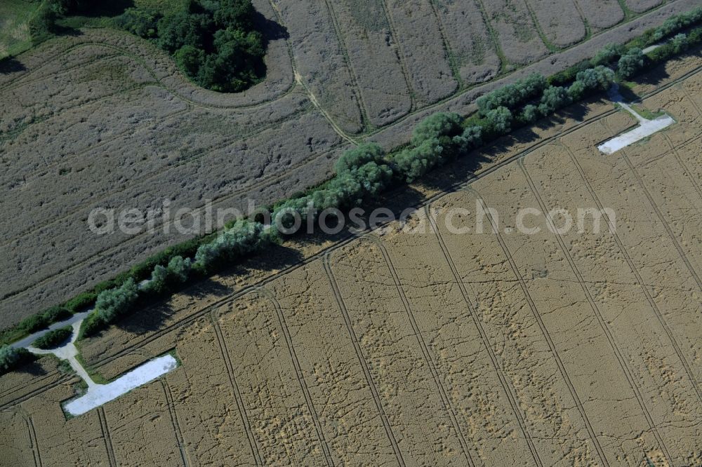 Aerial image Kuchelmiß - Field structures in Kuchelmiss in the state Mecklenburg - Western Pomerania