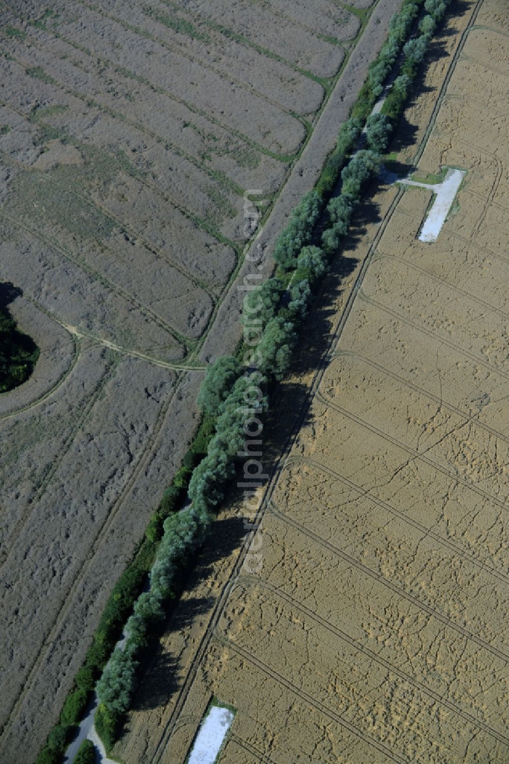 Kuchelmiß from the bird's eye view: Field structures in Kuchelmiss in the state Mecklenburg - Western Pomerania