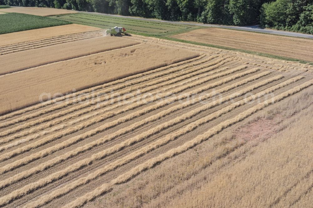 Aerial image Leonberg - Field structures in Leonberg in the state Baden-Wuerttemberg