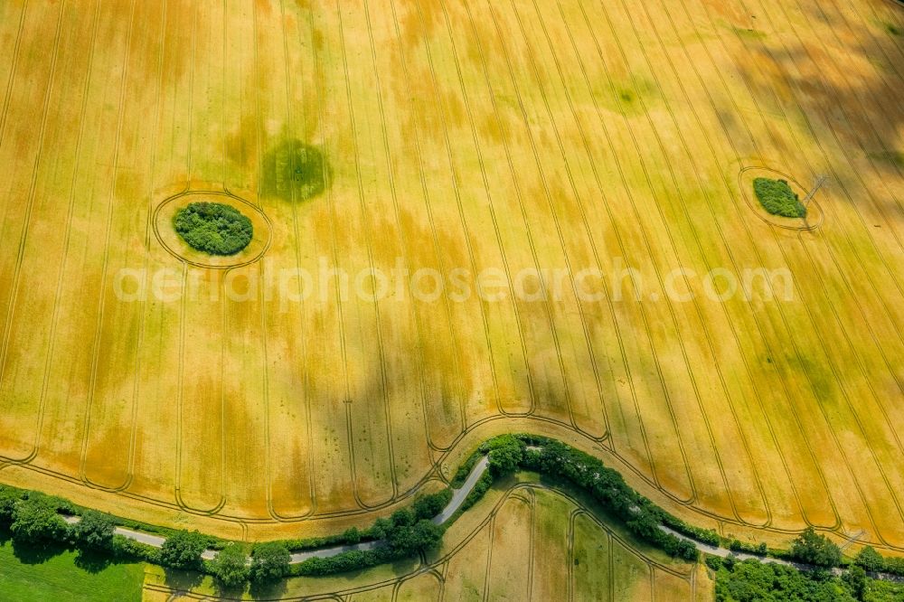 Meddewade from the bird's eye view: Field structures in Meddewade in the state Schleswig-Holstein