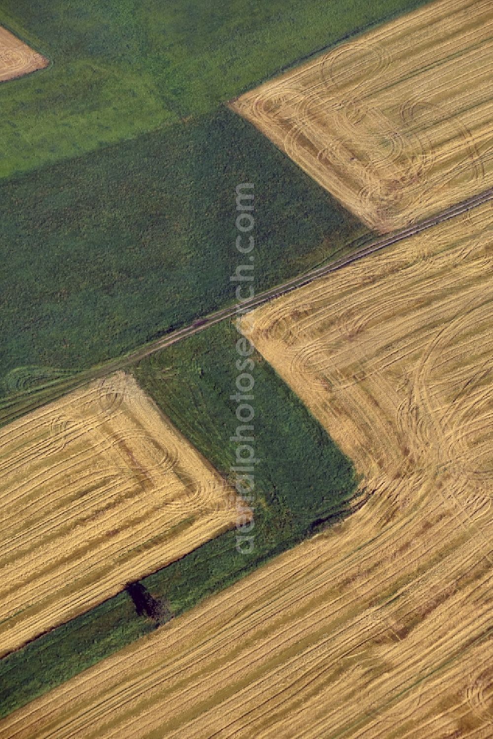 Neukirchen/Erzgebirge from above - Field structures in Neukirchen/Erzgebirge in the state Saxony