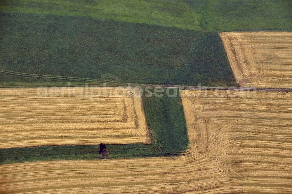 Neukirchen/Erzgebirge from the bird's eye view: Field structures in Neukirchen/Erzgebirge in the state Saxony